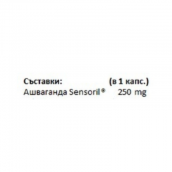 АШВАГАНДА (Сенсорил) 250мг 60 раст. капсули НАТУРАЛ ФАКТОРС | ASHWAGANDHA (Sensoril) 250mg 60s veg. caps NATURAL FACTORS 
