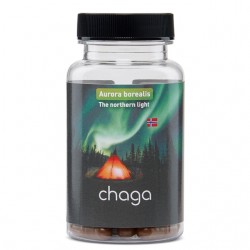 Чага 400 mg х 60 капсули | Chaga, Bioform