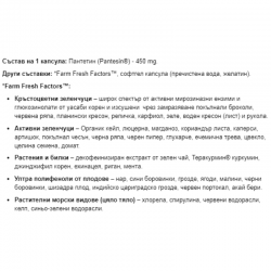 БИО КОЕНЗИМЕЙТИД ПАНТЕТИН 450мг 60 меки капсули НАТУРАЛ ФАКТОРС | BIOCOENZYMATED PANTETHINE 450mg 60 softgels NATURAL FACTORS