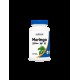 Моринга 500мг x 180 капсули НУТРИКОСТ | Moringa x 180 caps NUTRICOST