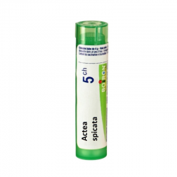 АКТЕА СПИКАТА 5CH гранули 4гр. БОАРОН | ACTEA SPICATA 5CH pillules 4g BOIRON