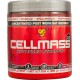 СЕЛМАС 2.0 – прах БСН | CELLMASS 2.0 – pwd BSN