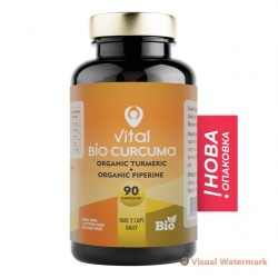 КУРКУМА 90 растителни капсули ВИТАЛ КОНЦЕПТ | CURCUMA 90 veg caps VITAL CONCEPT