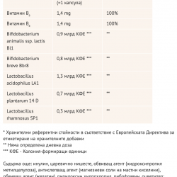 ЛАКТО-ПРО ПРОБИОТИК х 20 капсули ДОПЕЛХЕРЦ | LACTO-RPO PROBIOTIC 20 capsules DOPPELHERZ 