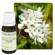 Етерични масла БИО ПРАНАРОМ х 5мл | Essential oils BIO PRANAROM x 5ml