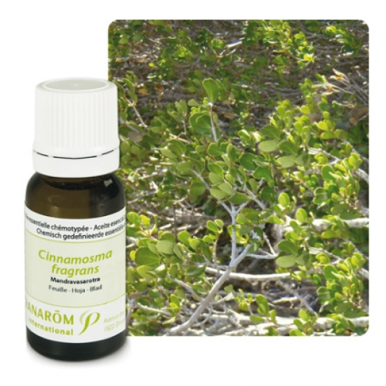 Етерични масла ПРАНАРОМ х 10мл | Essential oils PRANAROM x 10ml