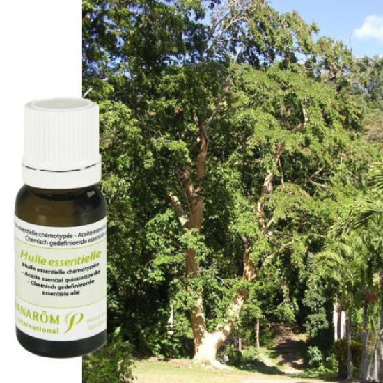 Етерични масла ПРАНАРОМ х 10мл | Essential oils PRANAROM x 10ml