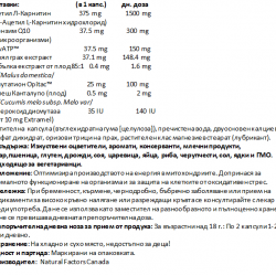 RegenerLife™ Митохондриална енергия х 120 капсули НАТУРАЛ ФАКТОРС | RegenerLife™ Increased Mitochondrial Energy x 120 veggie caps NATURAL FACTORS