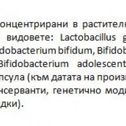 МегаМикс БИО ПРОБИОТИК 14 раст. капс. ГЕНЕЗИС | MegaMix BIO PROBIOTIC 14 veg caps GENESIS