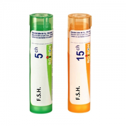 ФСХ 5CH, 15CH гранули 4гр. БОАРОН | FSH 5CH, 15CH pillules 4g BOIRON