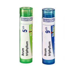 АРУМ ТРИФИЛУМ 5CH, 9CH гранули 4гр. БОАРОН | ARUM TRIPHYLLUM 5CH, 9CH pillules 4g BOIRON