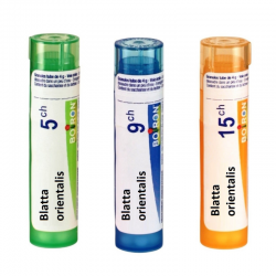 БЛАТА ОРИЕНТАЛИС 9CH, 15CH гранули 4гр. БОАРОН | BLATTA ORIENTALIS 9CH,15CH pillules 4g BOIRON