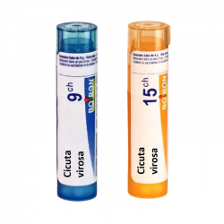 ЦИКУТА ВИРОЗА 15CH гранули 4гр. БОАРОН | CICUTA VIROSA 15CH pillules 4g BOIRON