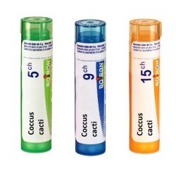 КОКУС КАКТИ 5CH, 9CH, 15CH гранули 4гр. БОАРОН | COCCUS CACTI 5CH, 9CH, 15CH pillules 4g BOIRON