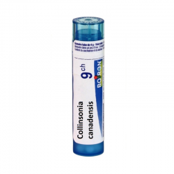 КОЛИНЗОНИА КАНАДЕНСИС 9CH гранули 4гр. БОАРОН | COLLINSONIA CANADENSIS 9CH pillules 4g BOIRON
