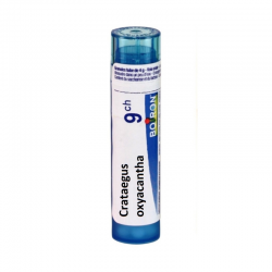 КРАТЕГУС ОКСИАКАНТА 9CH гранули 4гр. БОАРОН | CRATAEGUS OXYACANTHA 9CH pillules 4g BOIRON