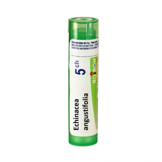 ЕХИНАЦЕА АНГУСТИФОЛИА 5CH гранули 4гр. БОАРОН | ECHINACEA ANGUSTIFOLIA 5CH pillules 4g BOIRON