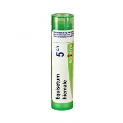 ЕКВИЗЕТУМ ХИЕМАЛЕ 5CH гранули 4гр. БОАРОН | EQUISETUM HIEMALE 5CH pillules 4g BOIRON