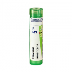 ФРАКСИНУМ АМЕРИКАНА 5CH гранули 4гр. БОАРОН | FRAXINUS AMERICANA 5CH pillules 4g BOIRON