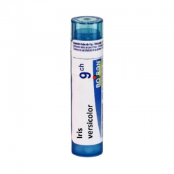 ИРИС ВЕРЗИКОЛОР 9CH гранули 4гр. БОАРОН | IRIS VERSICOLOR 9CH pillules 4g BOIRON