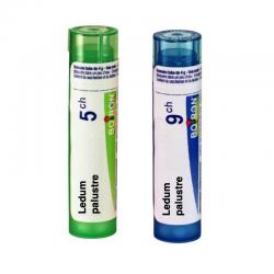 ЛЕДУМ ПАЛУСТРЕ 5CH, 9CH гранули 4гр. БОАРОН | LEDUM PALUSTRE 5CH, 9CH pillules 4g BOIRON