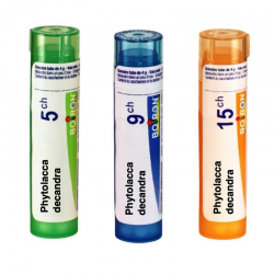 ФИТОЛАКА ДЕКАНДРА 9CH, 15CH ГРАНУЛИ 4ГР. БОАРОН | PHYTOLACCA DECANDRA 9CH, 15CH PILLULES 4G BOIRON