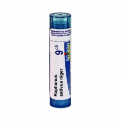 РАФАНУС САТИВУС НИГЕР 9CH гранули 4гр. БОАРОН | RAPHANUS SATIVUS NIGER 9CH pillules 4g BOIRON