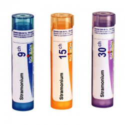 СТРАМОНИУМ 9CH, 15CH, 30CH гранули 4гр. БОАРОН | STRAMONIUM 9CH, 15CH, 30CH pillules 4g BOIRON