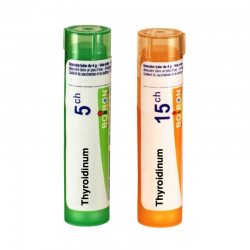 ТИРОИДИНУМ 5CH, 15CH гранули 4гр. БОАРОН | THYROIDINUM 5CH, 15CH pillules 4g BOIRON