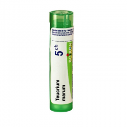ТЕУКРИУМ МАРУМ 5CH гранули 4гр. БОАРОН | TEUCRIUM MARUM 5CH pillules 4g BOIRON