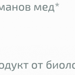 БИО Пчелен мед Манов 275гр или 500гр БИО КЛАСА | BIO Dew honey 275g or 500g BIO KLASA