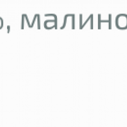 БИО Чай "Добро утро" пакетчета 20бр, 30гр ДАНРЕ | BIO Tea "Guten morgen" teabags 20s, 30g DANNREE