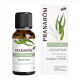 Етерични масла, композиция за дифузер ПРАНАРОМ х 30мл | Diffuser composition PRANAROM x 30ml