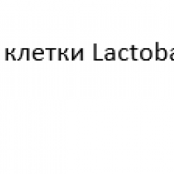 ЛАКТОФЛОР Хелико Протект 15бр. капсули КЕНДИ | LACTOFLOR Helico Protect 15s caps KENDY
