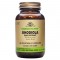ЕКСТРАКТ ОТ ЗЛАТЕН КОРЕН (родиола) растителни капсули 60бр. СОЛГАР | RHODIOLA ROOT EXTRACT veg. caps. 60s SOLGAR