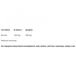 АКТИВЕН ВЪГЛЕН 280мг. 100бр. капсули НЕЙЧЪР'С УЕЙ | ACTIVATED CHARCOAL 280mg 100s caps NATURE'S WAY