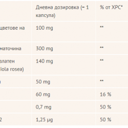 СПОКОЕН ДЕН х 20 капсули ДОПЕЛХЕРЦ АКТИВ | CALM DAY 20 capsules DOPPELHERZ