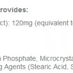 ГИНКО БИЛОБА 120mg 60 таблетки МАЙВИТАМИНС | TOTAL GINKGO BILOBA 120mg 60 tabs MYVITAMINS