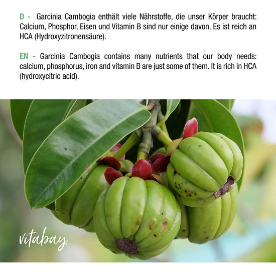 Гарциния Камбоджа x 90 капсули ВИТАБЕЙ | Garcinia Cambogia Extrakt x 90 caps VITABAY