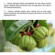 Гарциния Камбоджа x 90 капсули ВИТАБЕЙ | Garcinia Cambogia Extrakt x 90 caps VITABAY