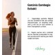 Гарциния Камбоджа x 90 капсули ВИТАБЕЙ | Garcinia Cambogia Extrakt x 90 caps VITABAY