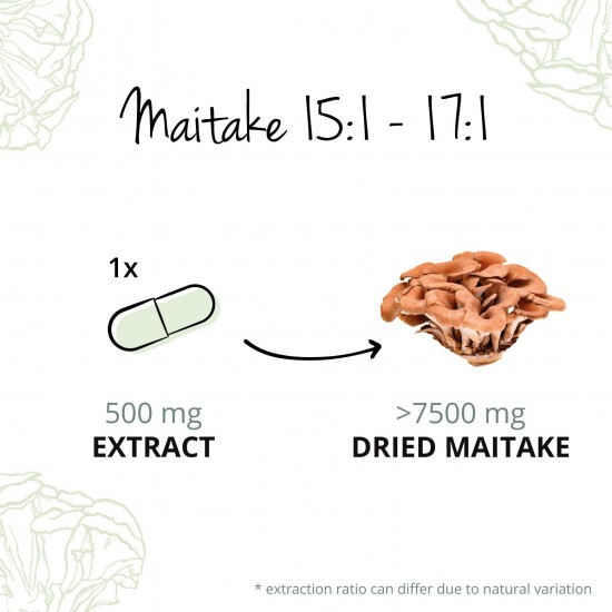 Био Майтаке капсули x 60 бр ВЕГАВЕРО | Bio Maitake Extrakt caps x 60 s VEGAVERO 