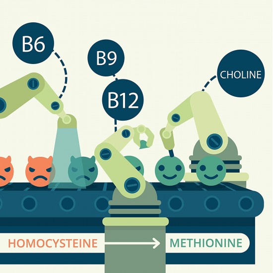 ВИТАМИН В12 + ВИТАМИН В6, ФОЛАТ И ХОЛИН x 180 капсули ВЕГАВЕРО | VITAMIN B12 PLUS (Mit B6+ Folat + Cholin) x 180 caps VEGAVERO