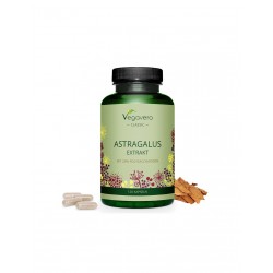 Астрагал екстракт x 120 капсули ВЕГАВЕРО | Astragalus Extrakt x 120 caps VEGAVERO