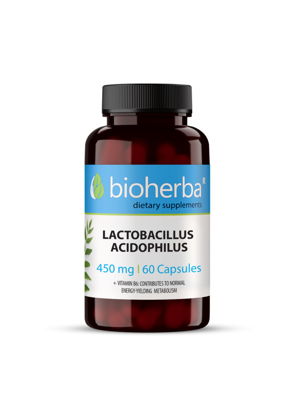 ЛАКТОБАЦИЛУС АЦИДОФИЛУС 450 мг. 60 капс. БИОХЕРБА | LACTOBACILLUS ACIDOPHILLUS 450 mg. 60 caps. BIOHERBA