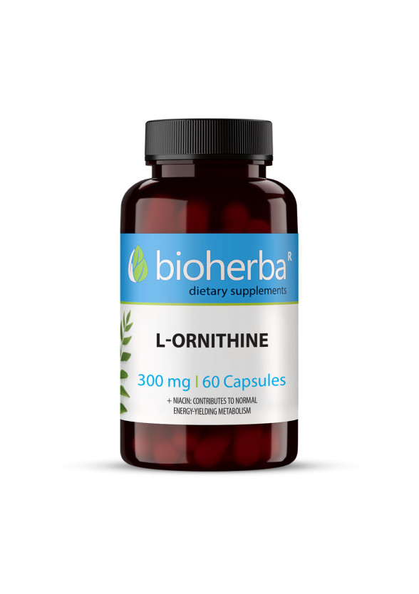 Л-ОРНИТИН 300 мг. 60 капс. БИОХЕРБА | L-ORNITHINE 300 mg. 60 caps. BIOHERBA