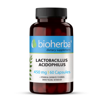 ЛАКТОБАЦИЛУС АЦИДОФИЛУС 450 мг. 60 капс. БИОХЕРБА | LACTOBACILLUS ACIDOPHILLUS 450 mg. 60 caps. BIOHERBA